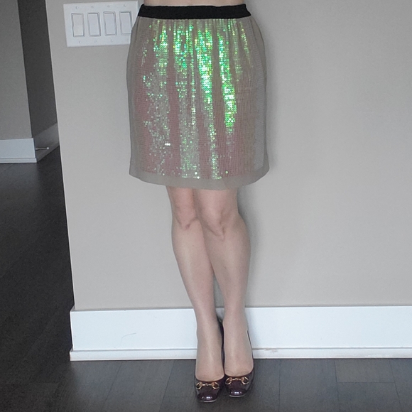 ๐ 2X HOST PICK ๐ BCBG MaxAzria Sequins Silk Skirt - Picture 3 of 15